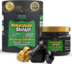 Wellness Nest Coupons and Promo Codes
