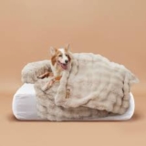 Pelsbarn Coupons & Promo Codes